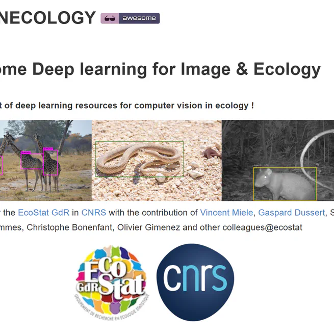 imaginecology
