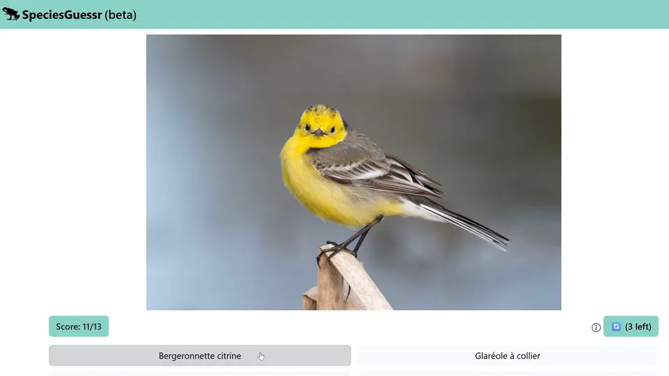 SpeciesGuessr