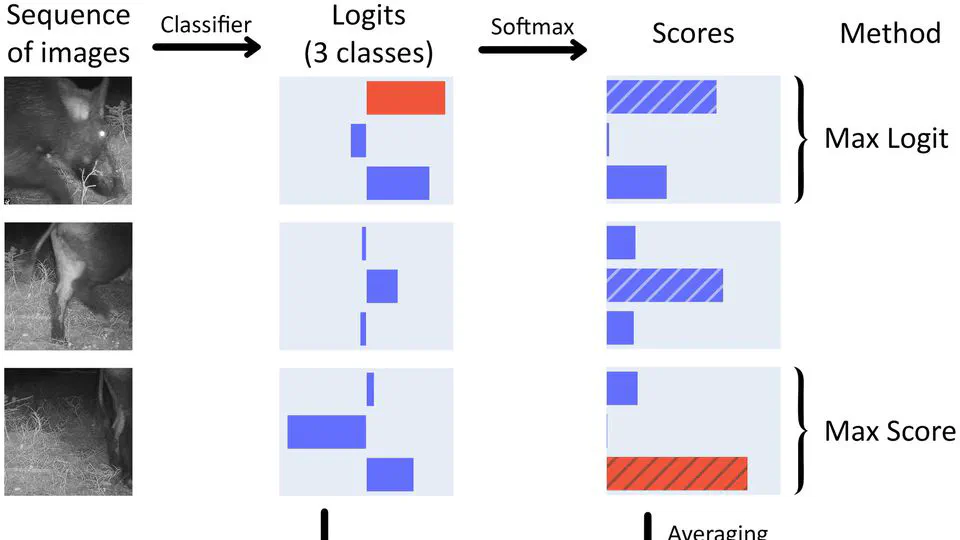 Being confident in confidence scores: calibration in deep learning models for camera trap image sequences