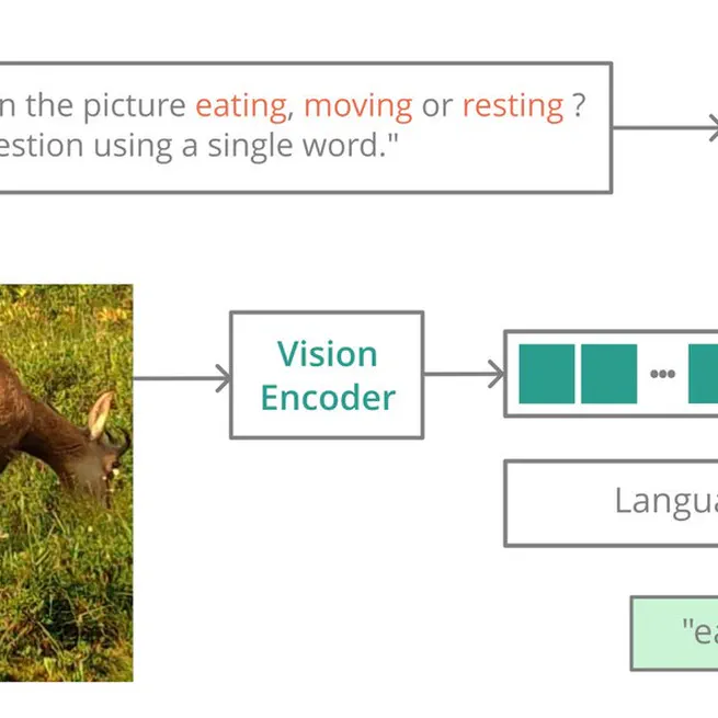 Zero-shot animal behaviour classification with vision-language foundation models